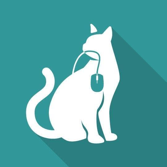 IT Cats